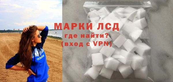 сатива Кулебаки