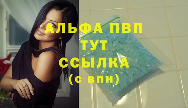 прущие грибы Видное