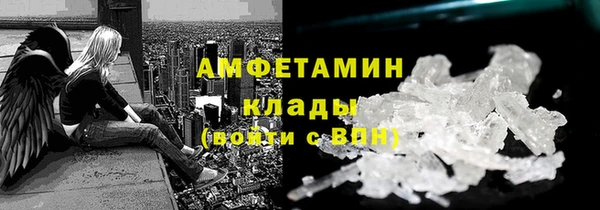 сатива Кулебаки
