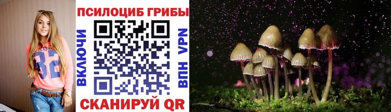 Псилоцибиновые грибы мухоморы  Краснозаводск 